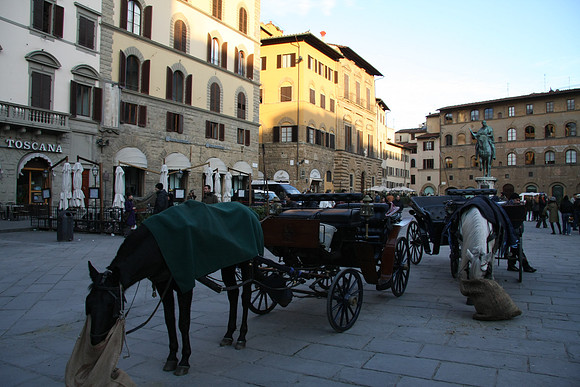 Horses in Piazza Signoria