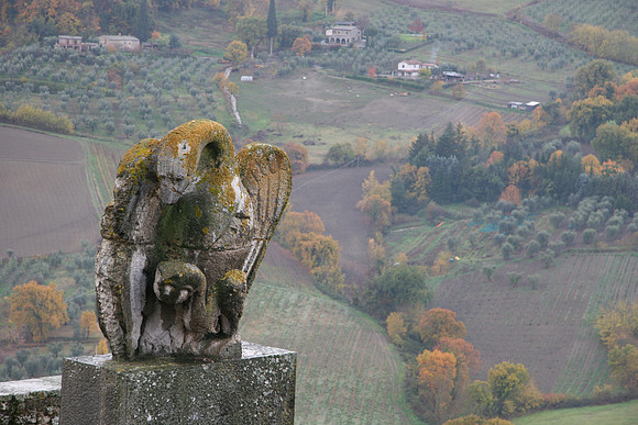 Swan? or Griffin? watching the valley