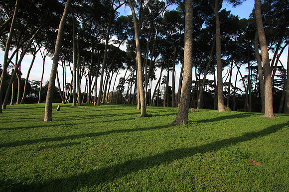 Doria Pamphili Park