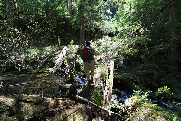 Log crossing