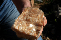 Found this along on the trail. Broken off by a passing hoof.