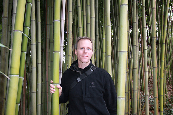 Mark in Bamboo