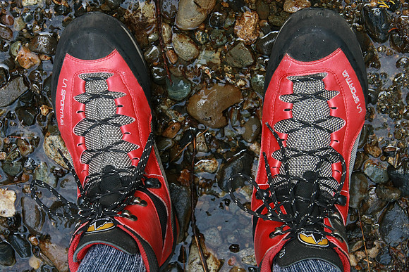 Mark's Red Shoes.