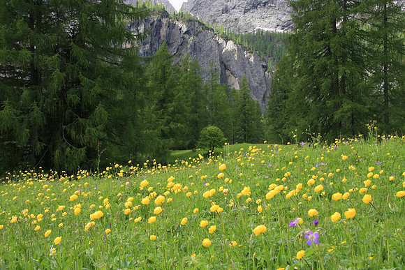 Sella Group beyond a meadow near our hotel