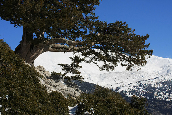 You can climb to a meadow where dances used to be held, but we were at our turn around point.