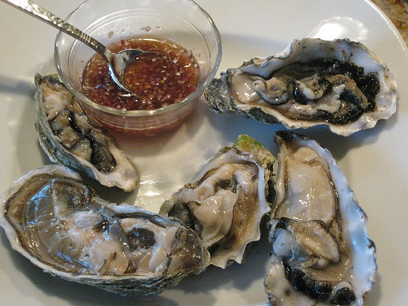 Oyster appetizer