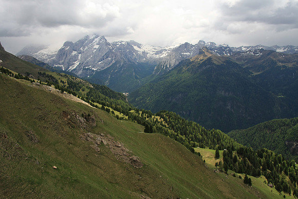 The green seems to wrap the mountains up to a certain level.