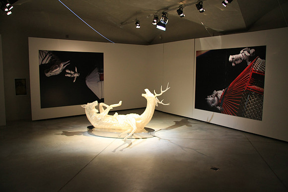 Palazzo Strozzina Art Exhibit - Perspectives on art in China