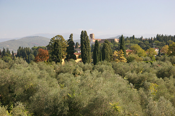 Looking out from the Porcelain museum on the edge of the garden - San Miniato in the distance