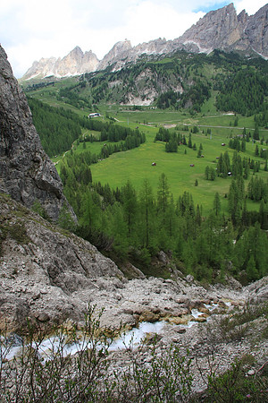 Looking back toward the meadow we came through