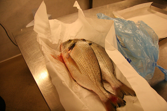 Orata, what we would call Gilthead or Sea bream